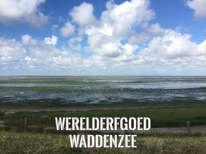 WADDENZEE UNESCO