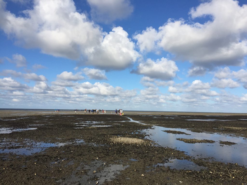 wadlopen texel