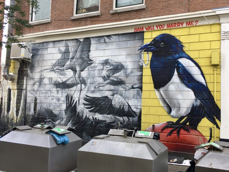 Street art in Rotterdam