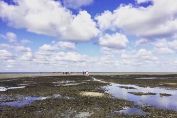 5 tips om de Waddenzee te beleven #Nederland #Waddeneilanden #Wadden