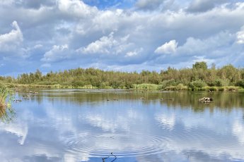 Wandelen in Limburg: NP de Groote Peel