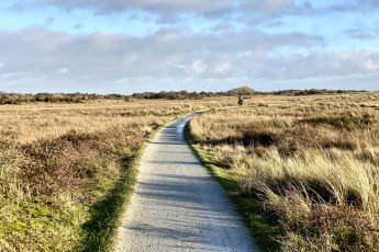 Winter op Schiermonnikoog