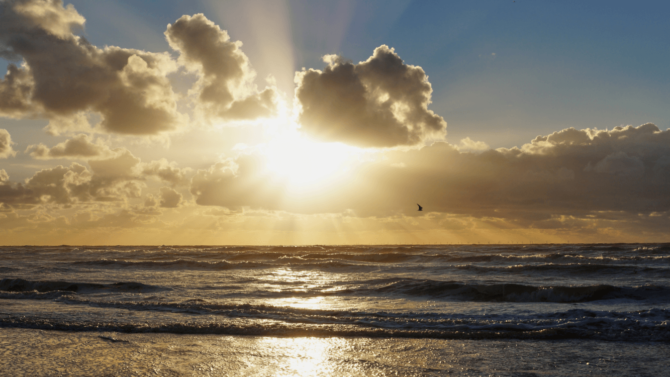 Een van de fijnste stranden van Nederland vind je in Bloemendaal, op fietsafstand van Haarlem