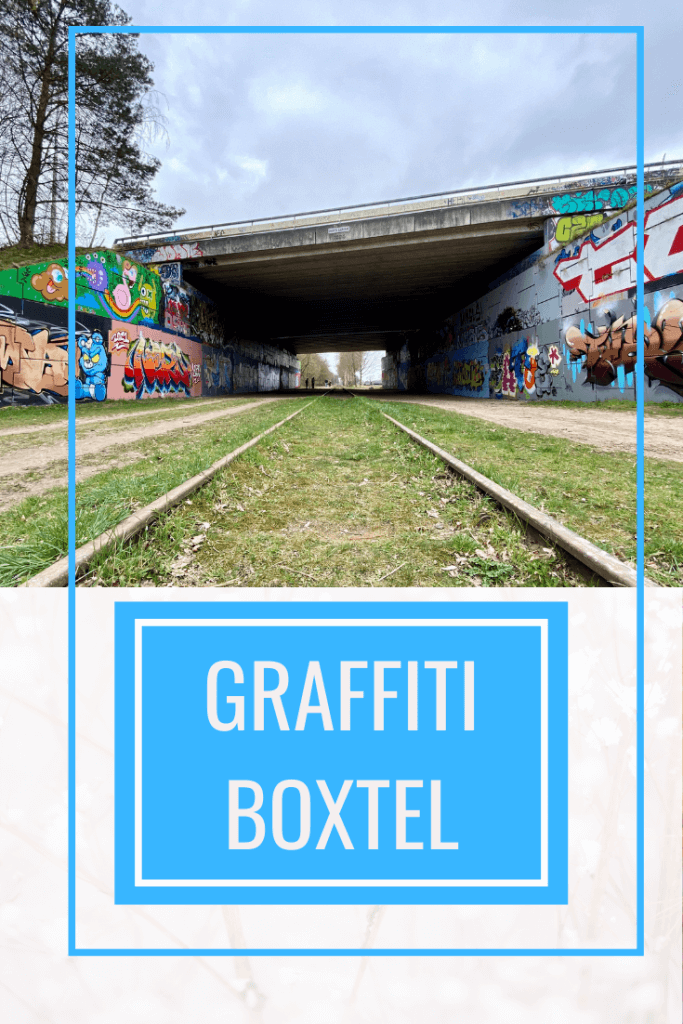 Hier vind je de mooiste street art en graffiti in het Brabantse Boxtel