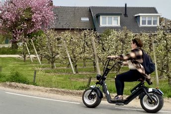 Uniek dagje uit in Nederland: Rij de bloesemtocht in de Betuwe op een e-chopper