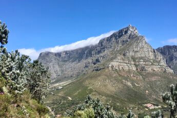 Tafelberg Kaapstad Zuid-Afrika