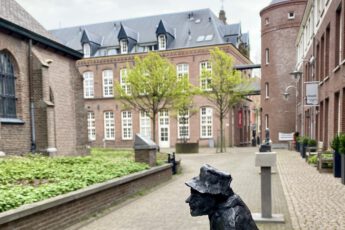 De mooiste straat van Helmond: het Lambertushof