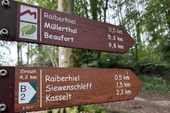 Wandelen in Luxemburg: Mullerthal Route B2.