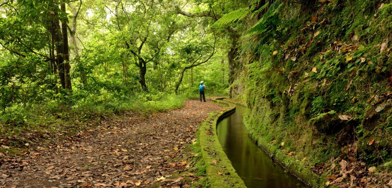 Mooiste levada wandelingen op Madeira.