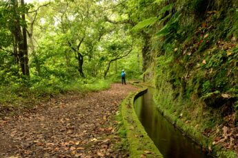 Mooiste levada wandelingen op Madeira.