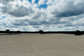 Tips voor een weekend in Soesterberg. Van fietsen langs de Soester Duinen en Paleis Soestdijk tot Park Vliegbasis Soesterberg en Thermen Soesterberg.